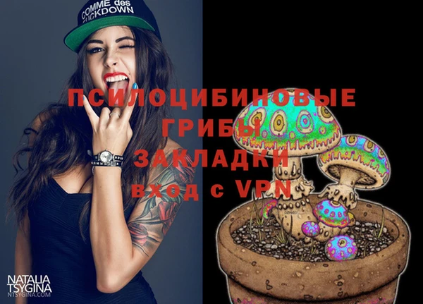 сатива Алексин